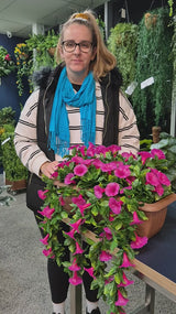 Artificial Draping Pink Petunia Window Box Planter 50cm - product video 2 of 2