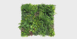 Luxury Country Fern Recycled Vertical Garden / Green Wall UV Resistant 100cm x 100cm - product video 1 of 2