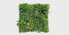 Luxury Country Fern Recycled Vertical Garden / Green Wall UV Resistant 100cm x 100cm - product video 1 of 2