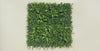 Lavandula Vertical Garden / Green Wall UV Resistant 1m x 1m - product video