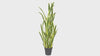 Premium Artificial Snake Plant (Sansevieria) 150cm UV Resistant - product video