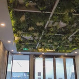 Long Two-tone Artificial Ivy Garland 190cm - product video