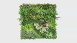 Botanical Harmony artificial green wall panel video (CCGK003B-02.mp4)
