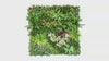 Botanical Harmony artificial green wall panel video (CCGK003B-02.mp4)