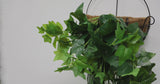 Premium English Hanging Green Artificial Ivy Bush 80cm - product video