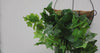 Premium English Hanging Green Artificial Ivy Bush 80cm - product video