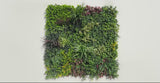 Luxury Evergreen Rainforest Recycled Vertical Garden / Green Wall UV Resistant 1m x 1m - product video