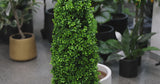 Premium Artificial 120cm Bright Buxus Tree UV Resistant - product video
