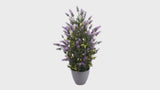 artificial lavender topiary tree 73cm - rotating product video