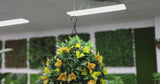 Artificial Hanging Basket Orange and Yellow Bouganvillea 30cm x 80cm Long UV Resistant - product video