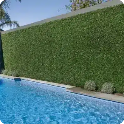 private outdoor pool with tall green hedges