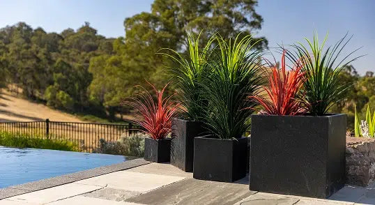 Pots and planters at the Designer Plants showroom