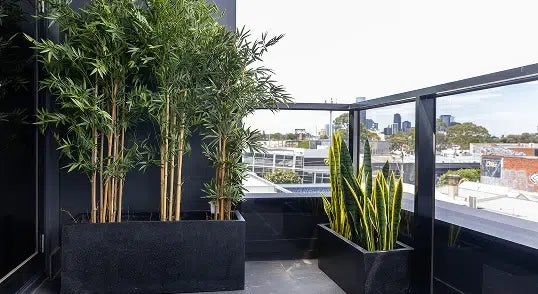 Pots and planters at the Designer Plants showroom