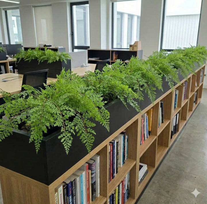 Bookshelf with plants on top in an office setting