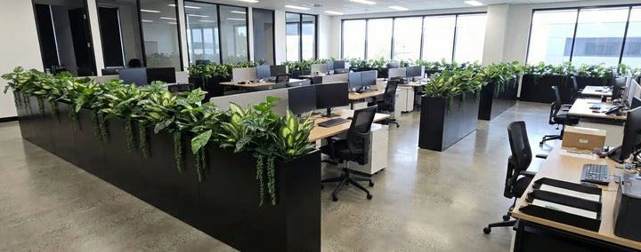 Bringing Natural Calm to the Office Environment
