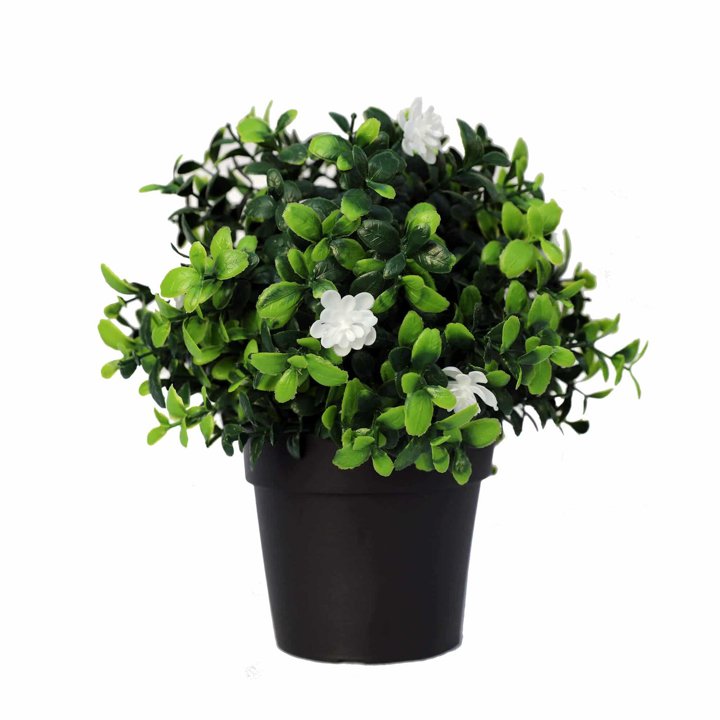 Small Potted Artificial Flowering Boxwood Plant UV Resistant 20cm - Designer Plants