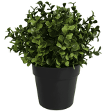 Small Potted Artificial Buxus Plant UV Resistant 20cm - Designer Plants