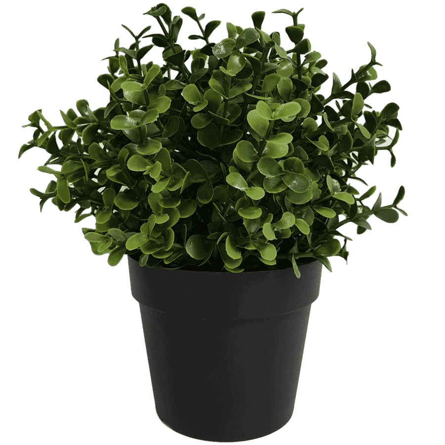 Small Potted Artificial Buxus Plant UV Resistant 20cm - Designer Plants