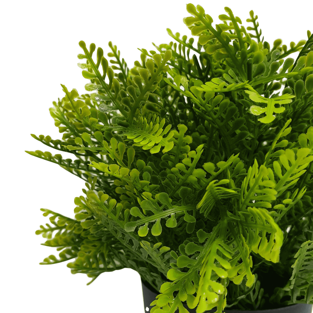 Small Potted Artificial Mimosa Fern UV Resistant 20cm