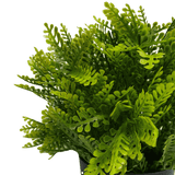 Small Potted Artificial Mimosa Fern UV Resistant 20cm