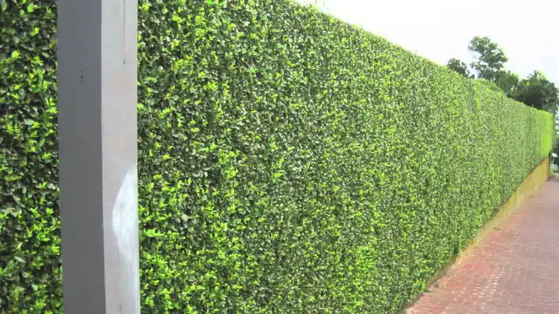 Privacy panels for mesh fence