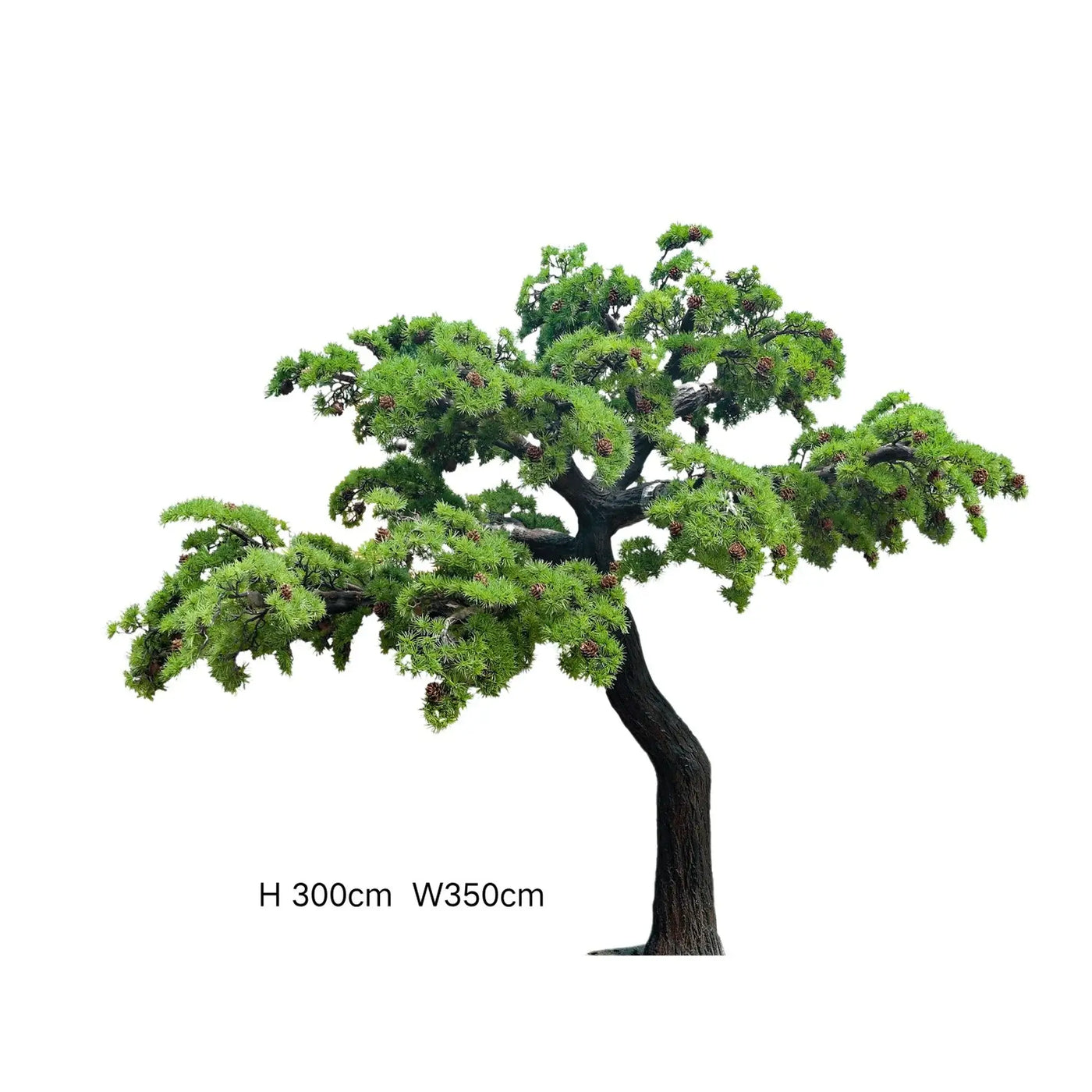 Extra Large Custom Made Bonsai Tree 350cm (Made to Order) - Designer Plants