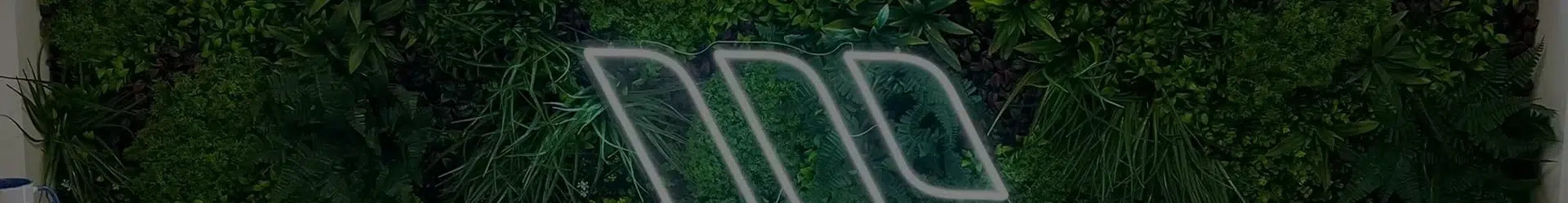 Transforming spaces with Designer Plants