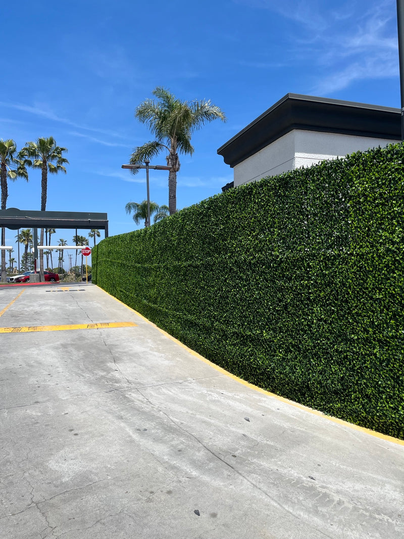 Uninviting & Bare: The Raw Concrete Barrier
