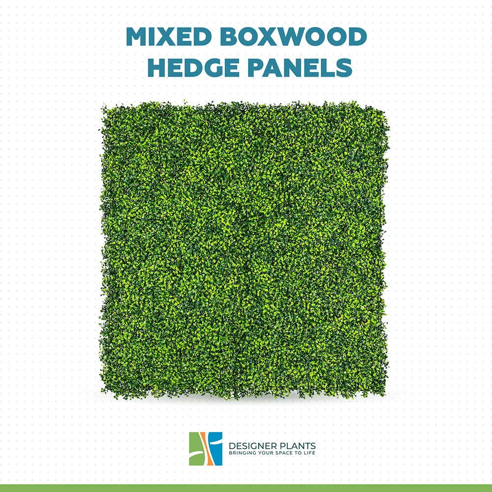 Mixed Boxwood Hedge Panels / Screens UV Resistant 1m x 1m