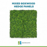 Mixed Boxwood Hedge Panels / Screens UV Resistant 1m x 1m