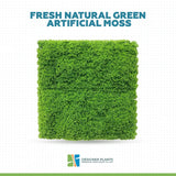 Fresh Natural Green Artificial Moss / Green Wall UV Resistant 1m x 1m