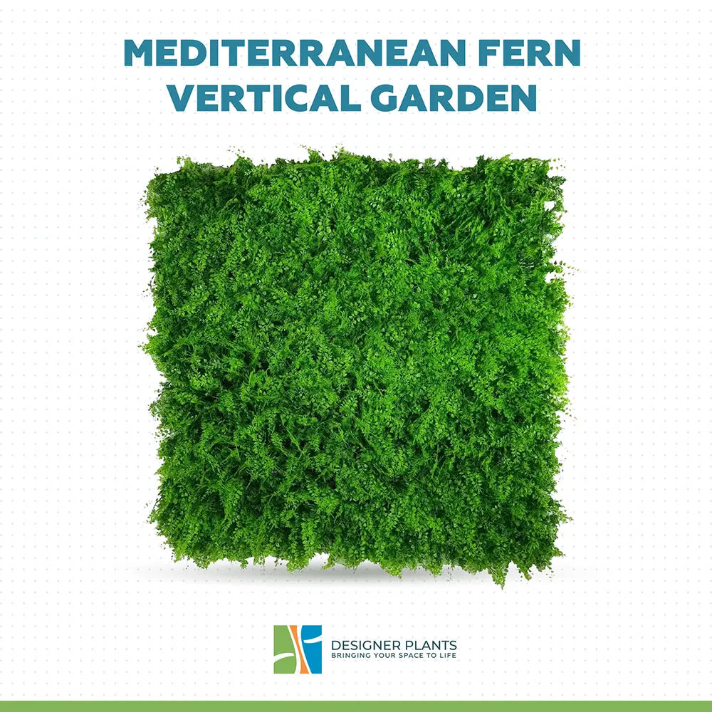 Mediterranean Fern Vertical Garden / Green Wall UV Resistant 1m x 1m