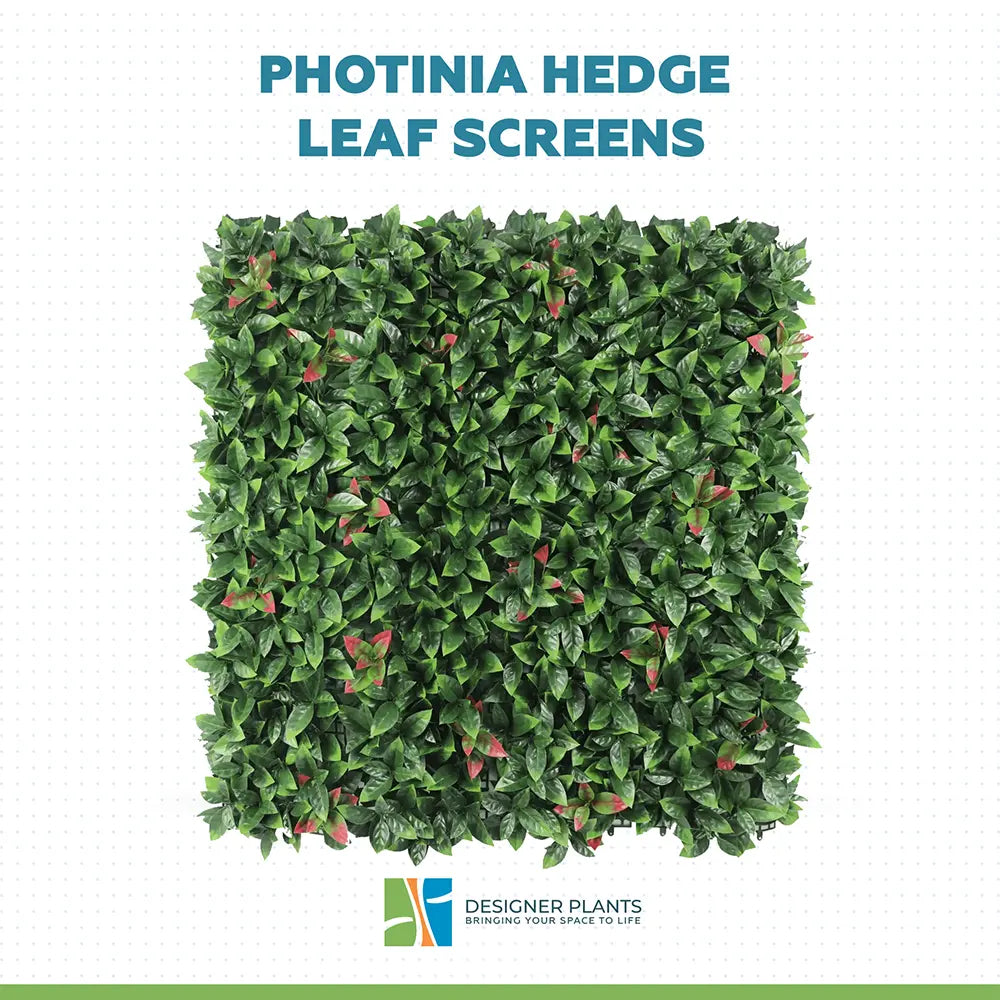 Photinia (Red Robin) Hedge Leaf Screens / Panels UV Resistant 1m x 1m