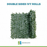 Double Sided Ivy Rolls 3m x 1m
