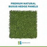 Premium Natural Buxus Hedge Panels UV Resistant 1m x 1m