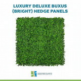 Luxury Deluxe Buxus (Bright) Hedge Panels UV Resistant 1m x 1m