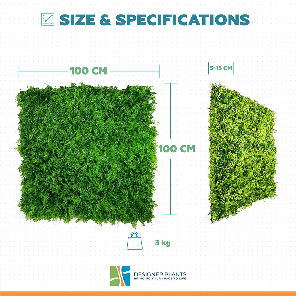 Mediterranean Fern Vertical Garden / Green Wall UV Resistant 1m x 1m