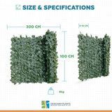 Double Sided Ivy Rolls 3m x 1m