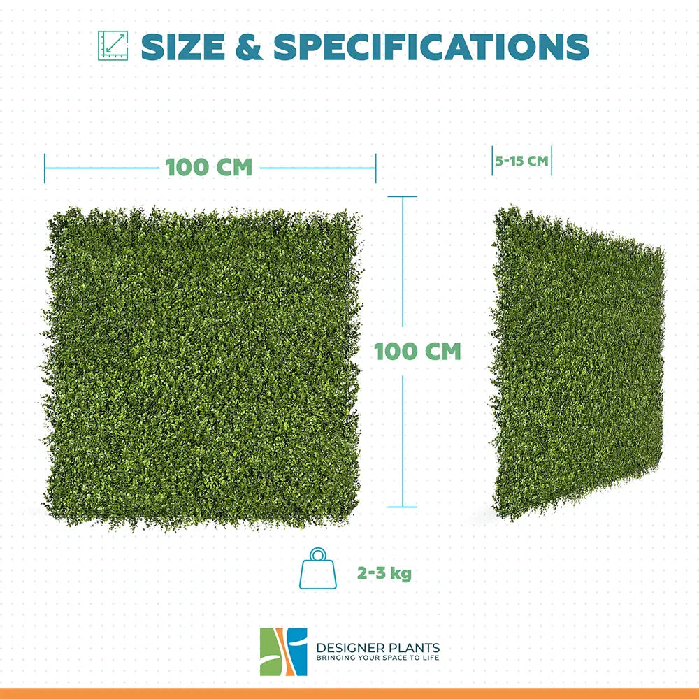 Premium Natural Buxus Hedge Panels UV Resistant 1m x 1m