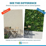 Yellow Rose Vertical Garden / Green Wall UV Resistant 100cm x 100cm