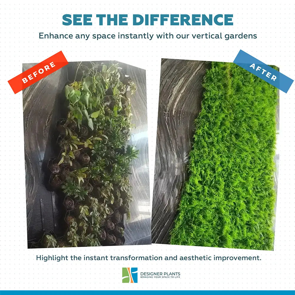 Mediterranean Fern Vertical Garden / Green Wall UV Resistant 1m x 1m