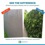 Dense Green Meadows Vertical Garden / Green Wall UV Resistant 1m x 1m