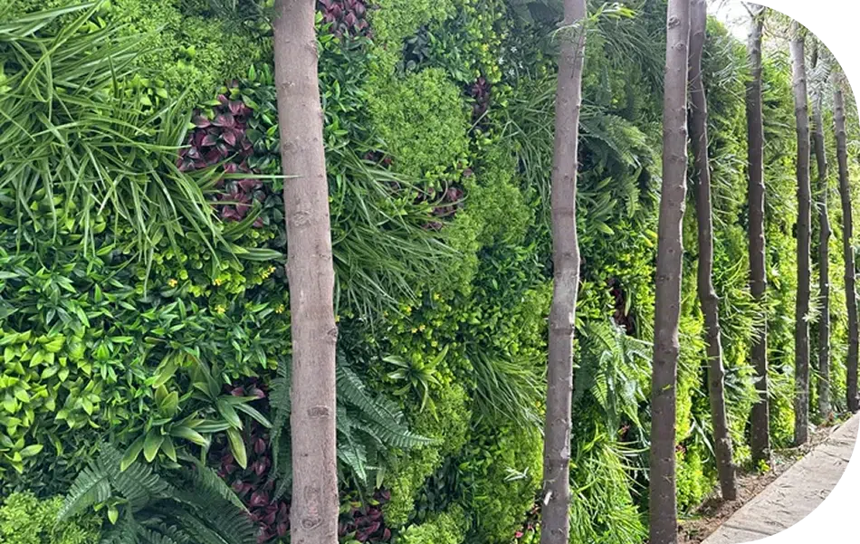 vertical wall designer platns