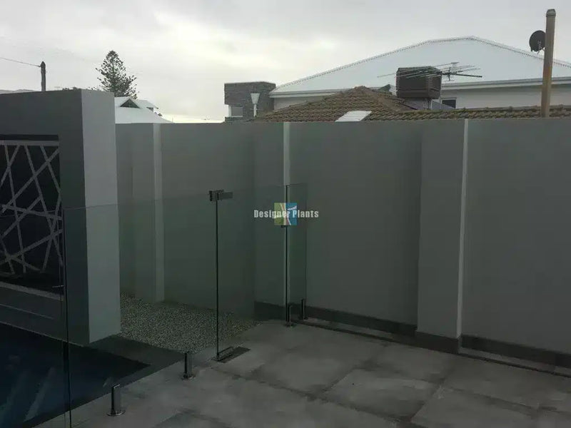 Before – A dark gloomy & underappreciated area around pool prior to faux ivy being installed