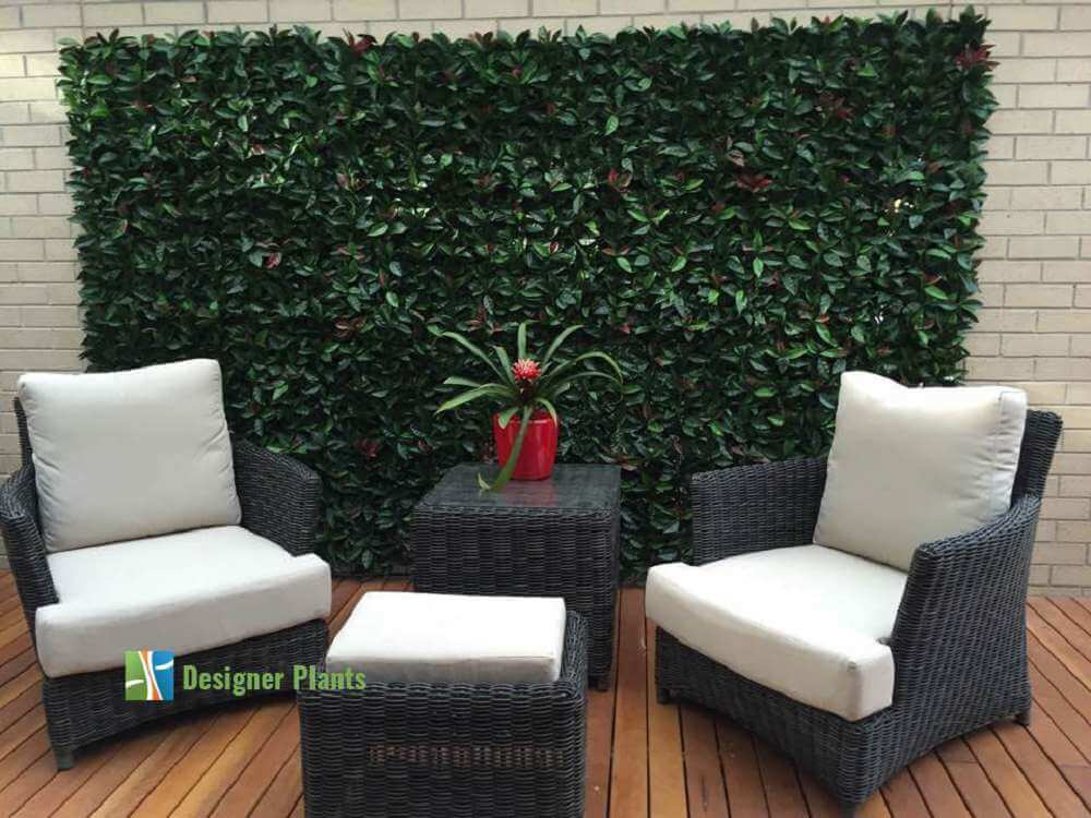 Photinia (Red Robin) Hedge Leaf Screens / Panels UV Resistant SAMPLE