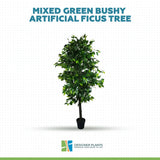 Mixed Green Bushy Artificial Ficus Tree 180cm