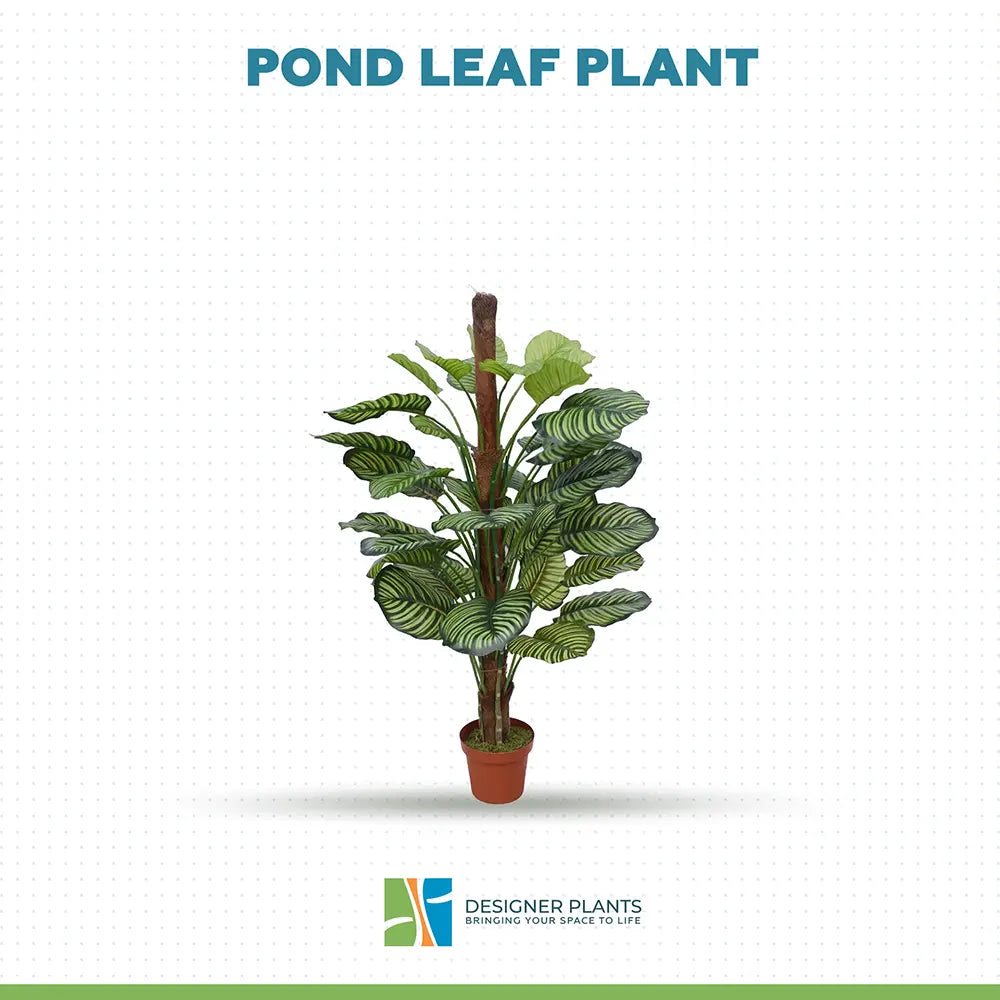 Artificial Calathea Plant in Pot 110cm