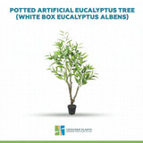 Potted Artificial Eucalyptus Tree (White Box Eucalyptus Albens) 110cm