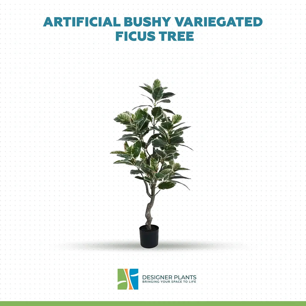 Artificial Bushy Variegated Ficus Tree (Rubber Tree) 120cm