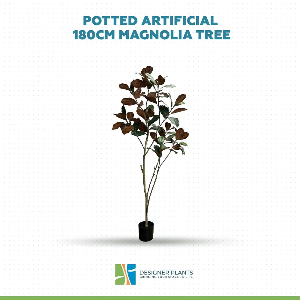 Potted artificial 180cm Magnolia tree on a white background with 'Designer Plants' logo.